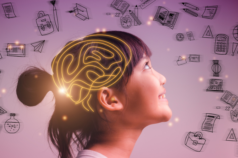 Ilustración del cerebro y los procesos cognitivos relacionados con el aprendizaje