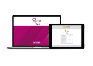 OPRA Evaluación de riesgo organizacional y psicosocial (25 evaluaciones online)